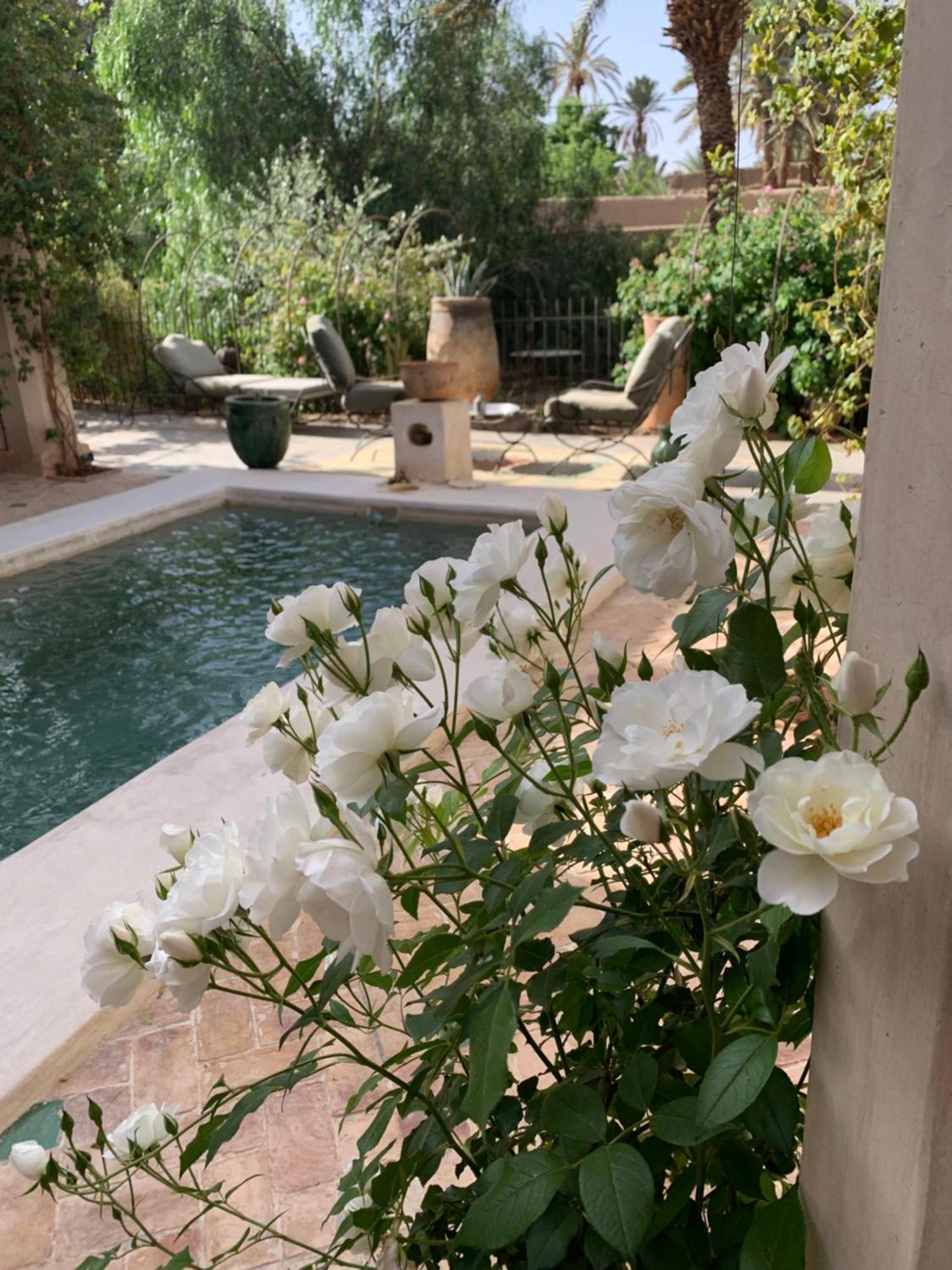 Riad Chant D'Etoiles Tadighoust El Hara Exterior photo